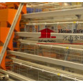 Steel Frame Chicken Poultry Equipment Cage for Chicken